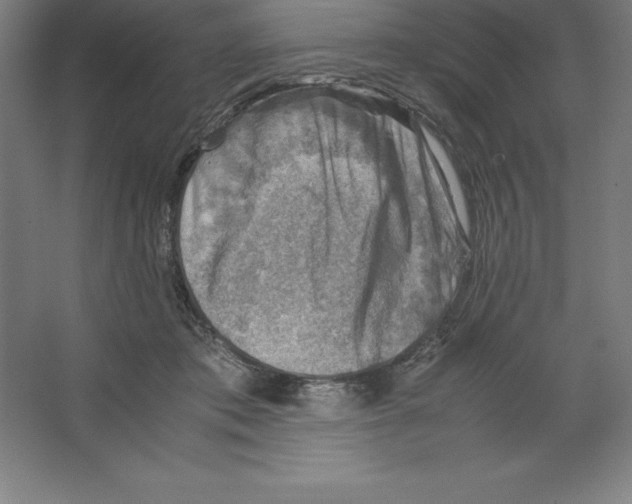 X0000062130413200512301506