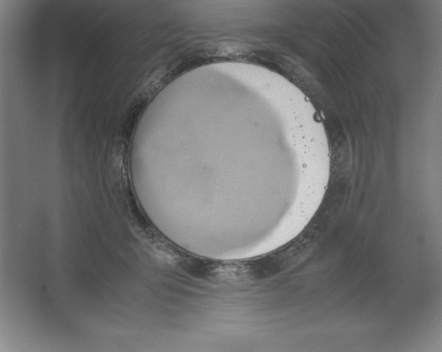 X0000062130415200512301506