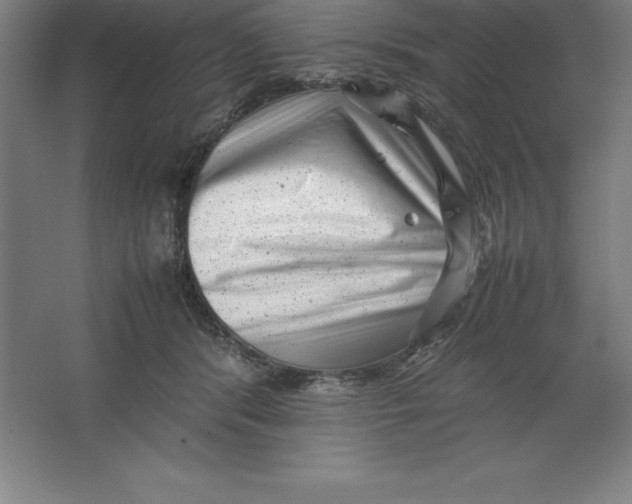 X0000062130416200512301506