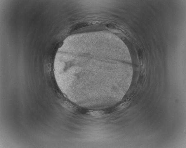 X0000062130417200512301506