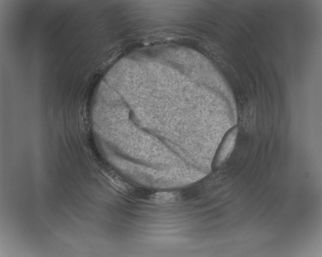 X0000062130418200512301506