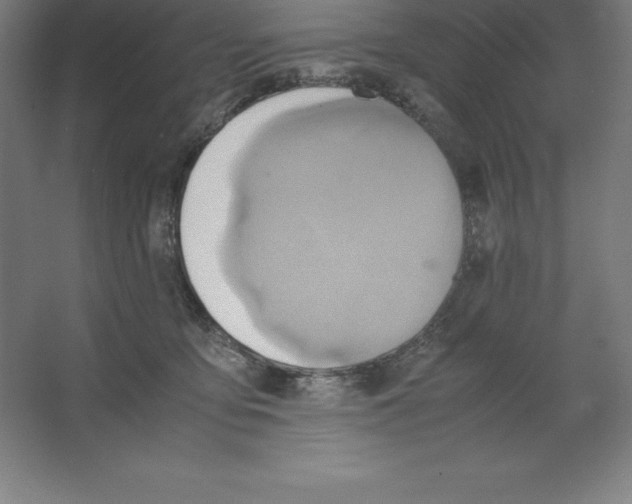 X0000062130419200512301506