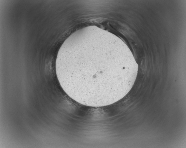 X0000062130424200512301506