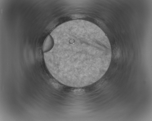 X0000062130426200512301506