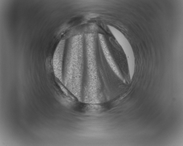 X0000062130429200512301506