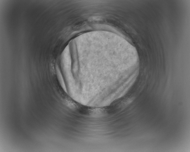 X0000062130432200512301506