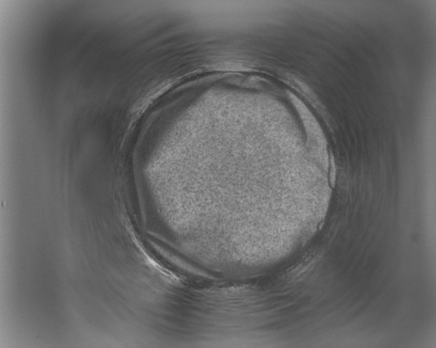 X0000062130433200512301505