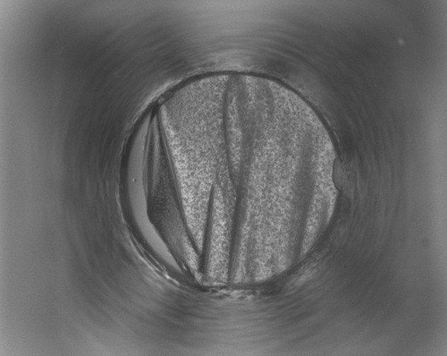 X0000062130434200512301505