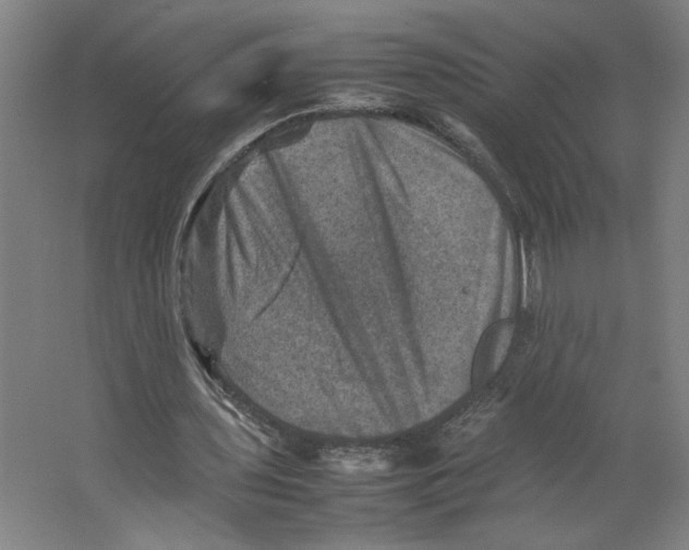 X0000062130435200512301505