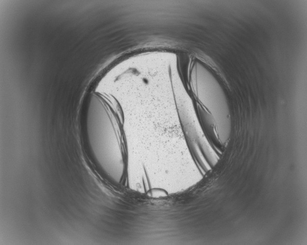 X0000062130436200512301505