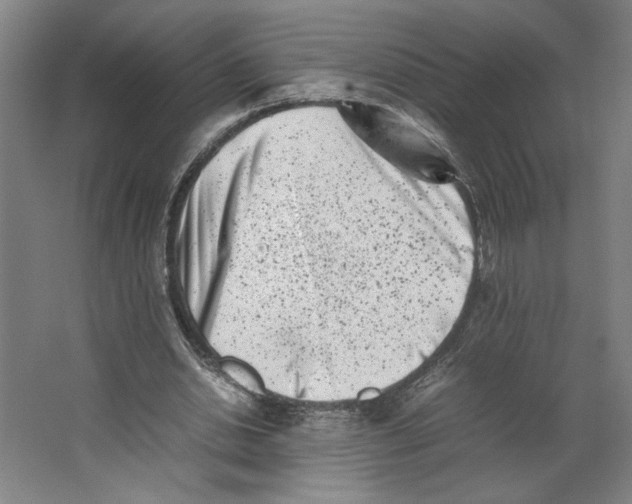 X0000062130438200512301505