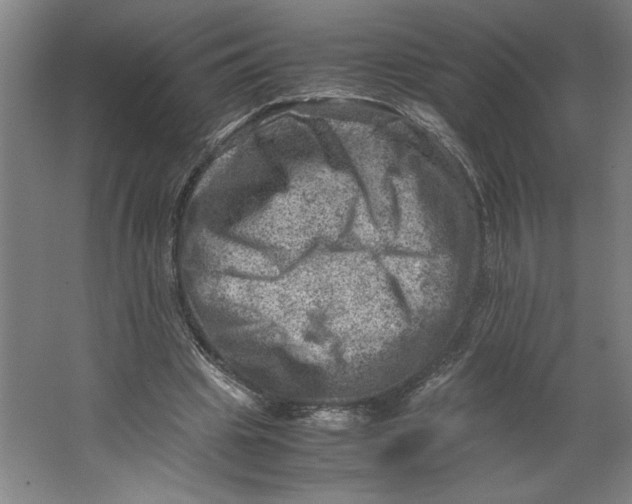 X0000062130441200512301505