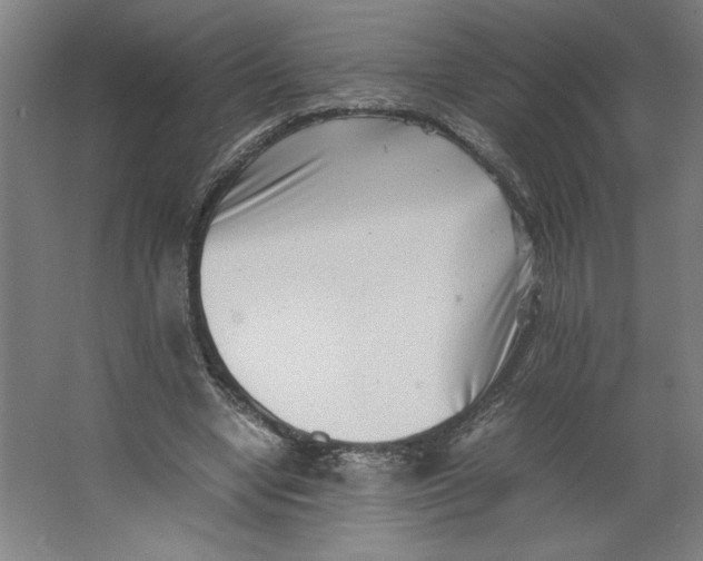 X0000062130442200512301505