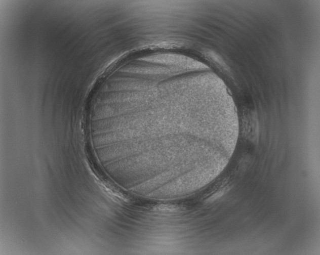 X0000062130444200512301505