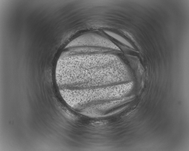 X0000062130447200512301505