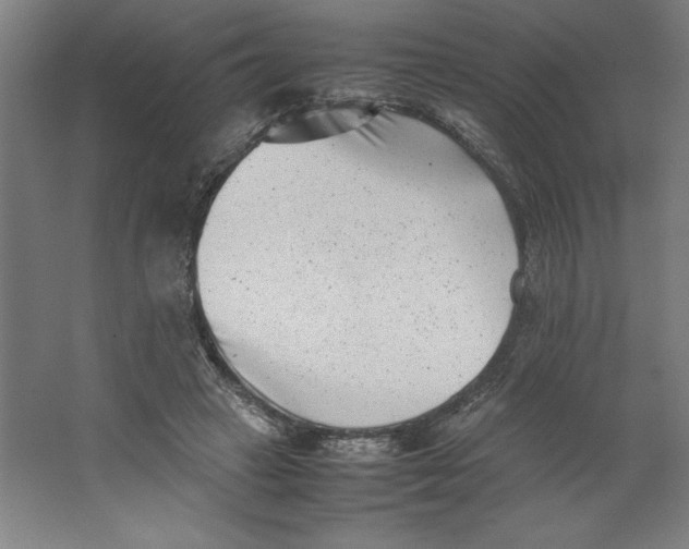 X0000062130449200512301505