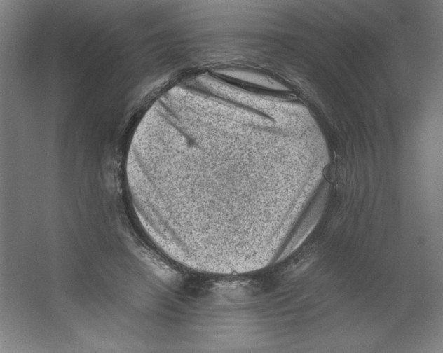 X0000062130450200512301505