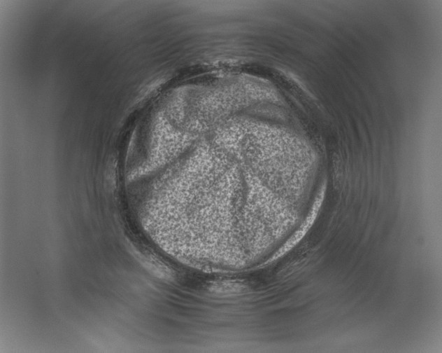 X0000062130451200512301505