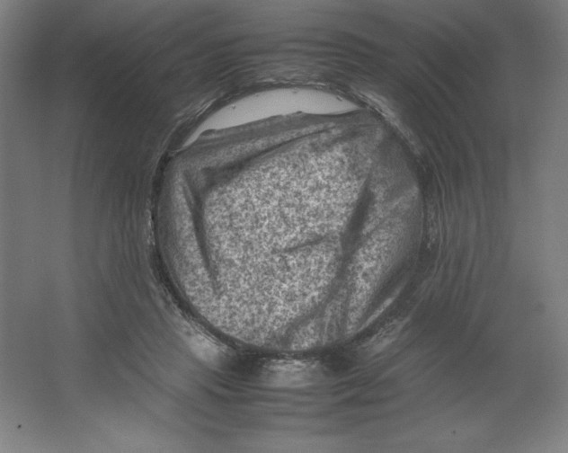 X0000062130453200512301506