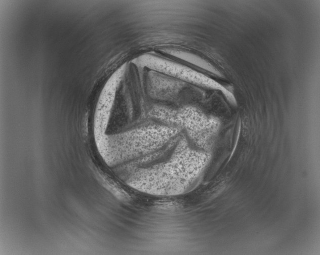 X0000062130454200512301506