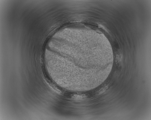 X0000062130455200512301506