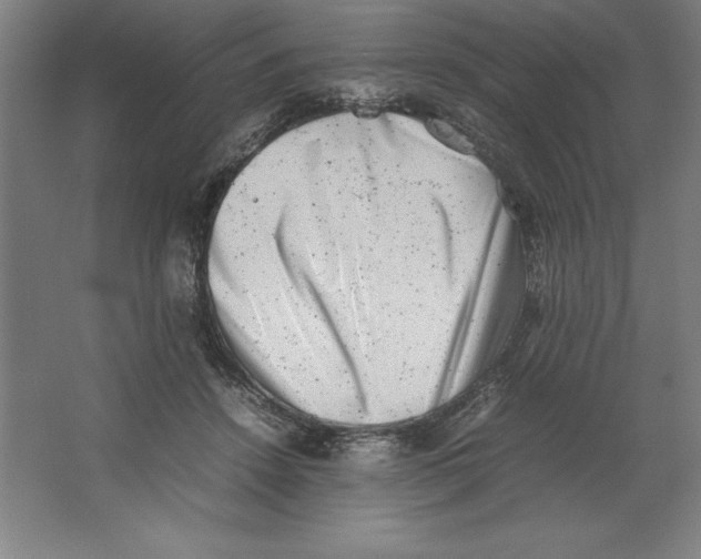 X0000062130456200512301506