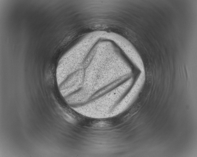 X0000062130460200512301506