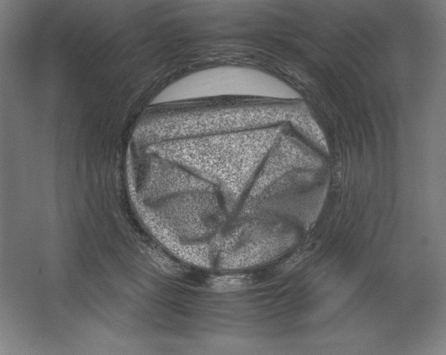 X0000062130461200512301506