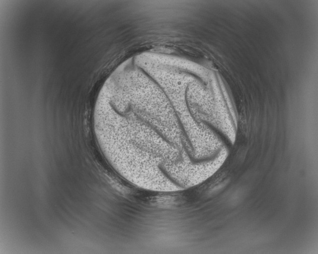 X0000062130462200512301506