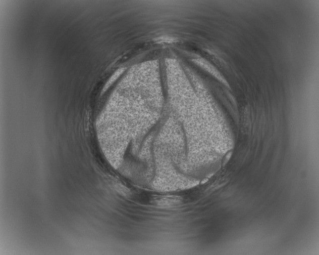 X0000062130463200512301506