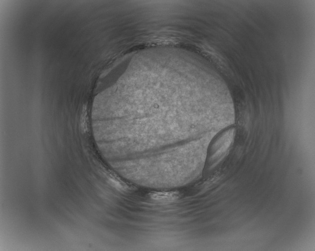 X0000062130465200512301506