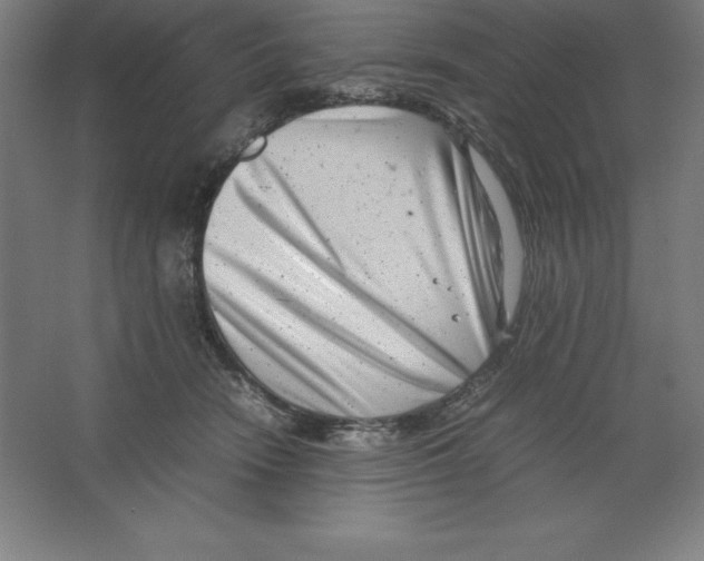 X0000062130466200512301506