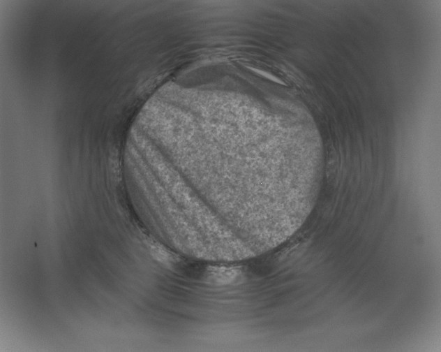 X0000062130469200512301506