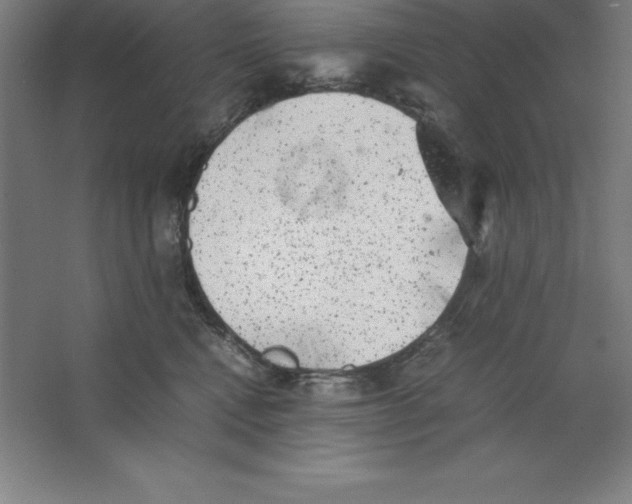 X0000062130472200512301506