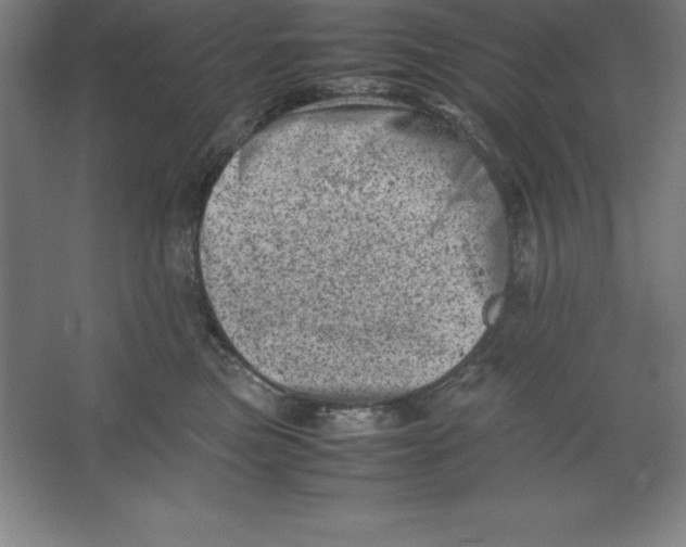 X0000062130473200512301506