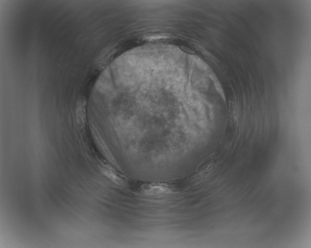 X0000062130475200512301506