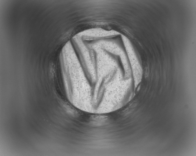 X0000062130476200512301506