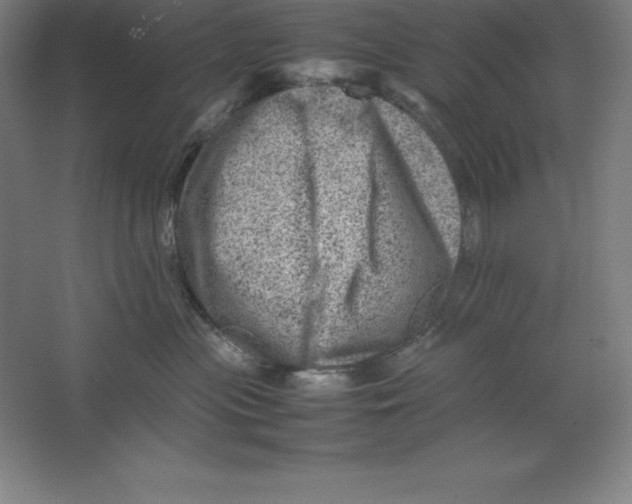 X0000062130477200512301506