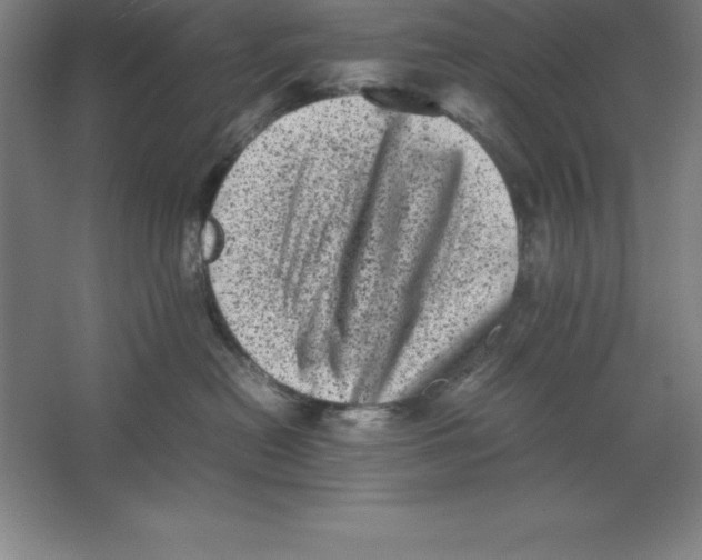 X0000062130478200512301506