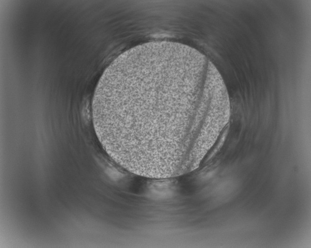 X0000062130479200512301506