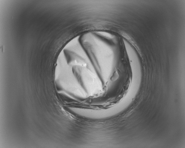 X0000062130481200512301505