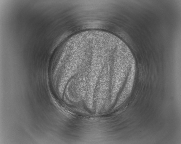 X0000062130482200512301505