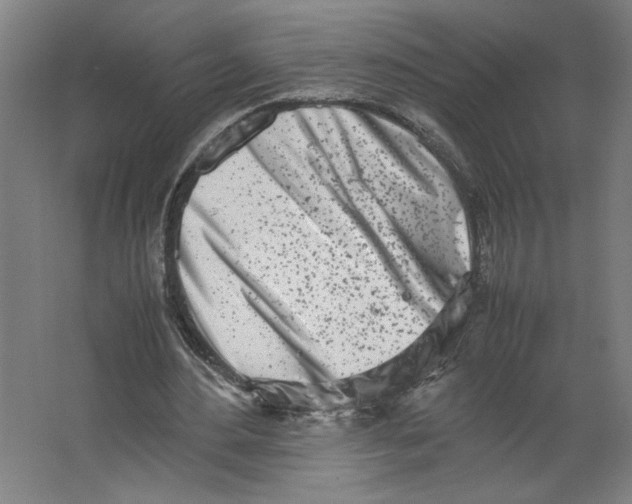 X0000062130484200512301505