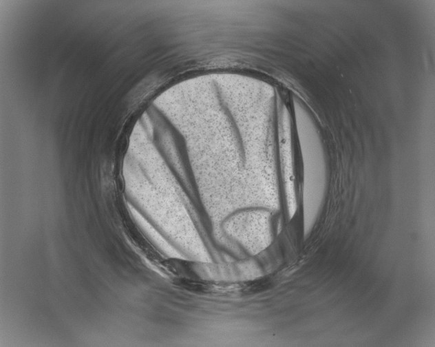 X0000062130485200512301505