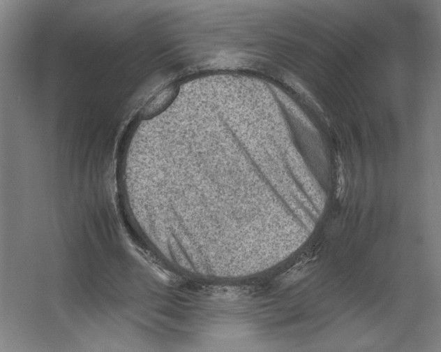 X0000062130486200512301505