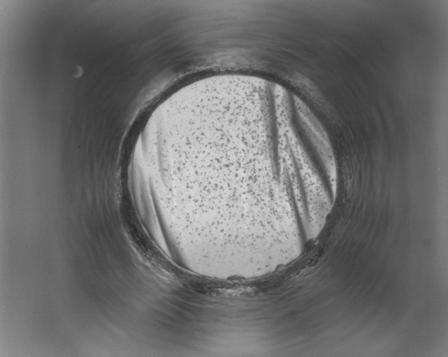 X0000062130488200512301505