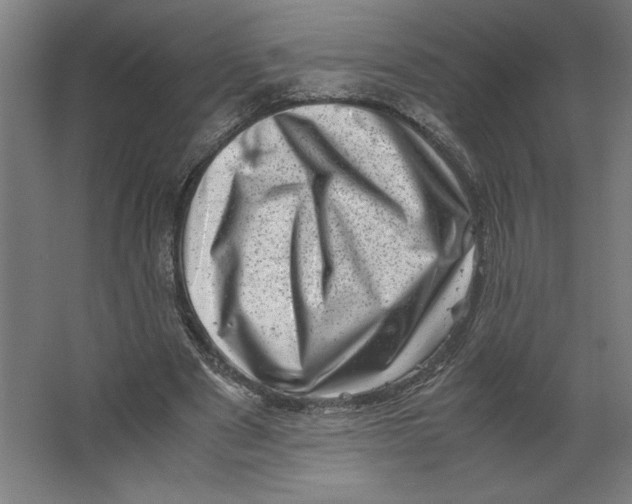 X0000062130489200512301505