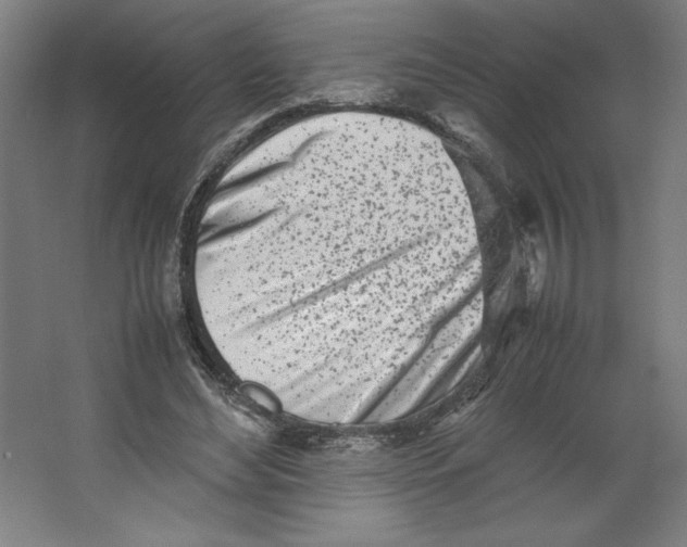 X0000062130492200512301505