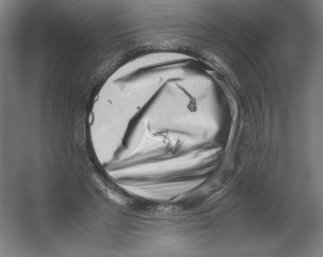 X0000062130493200512301505