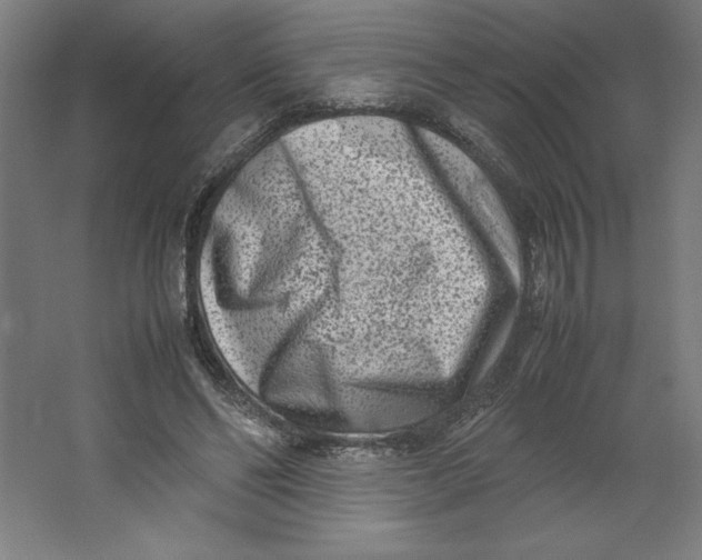 X0000062130494200512301505